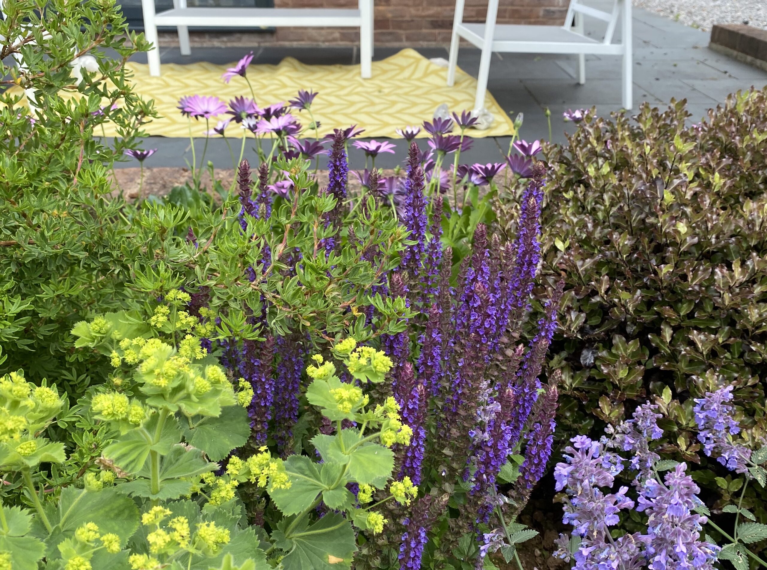 close up planting 2