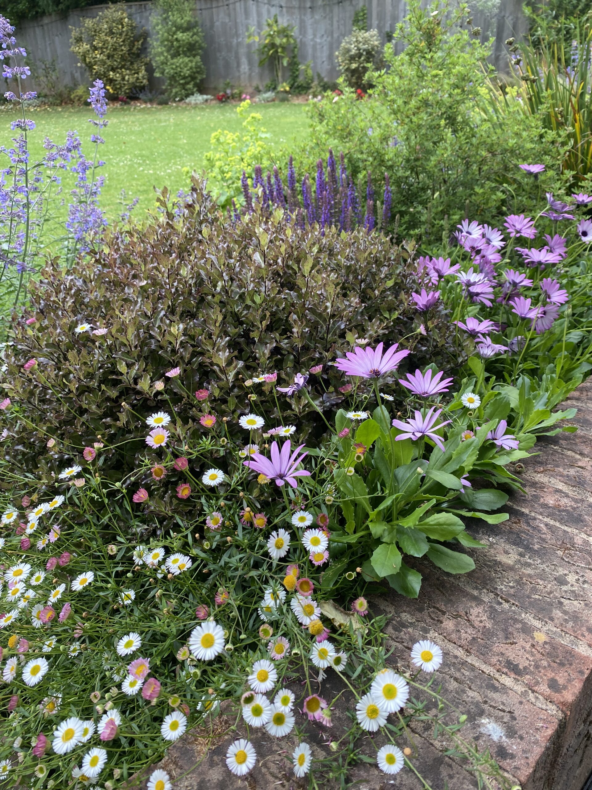 close up planting 