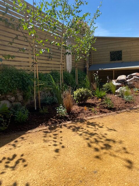 contemporary courtyard