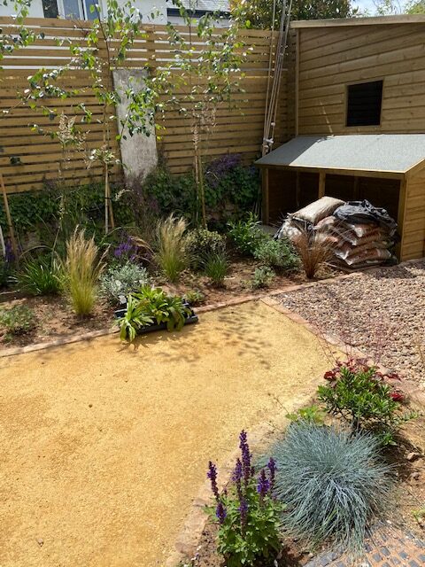 contemporary courtyard shed