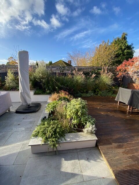 contemporary small garden