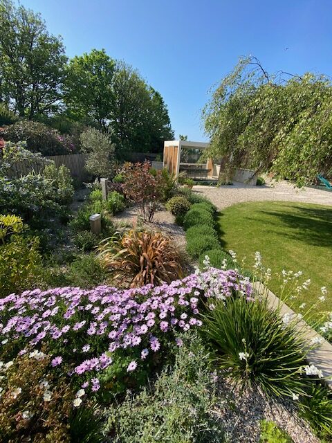 mediterranean garden planting with pergola